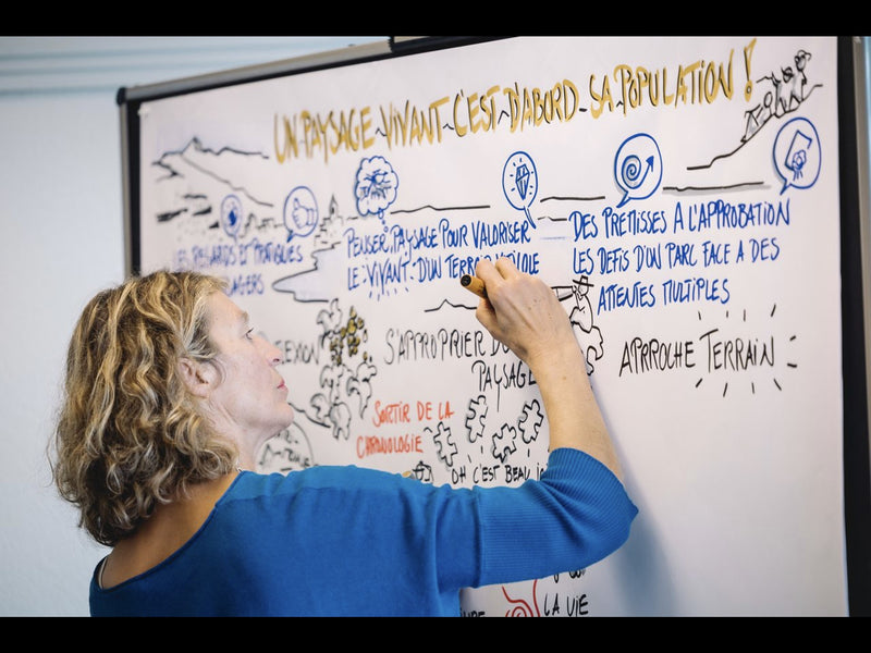 Frech Visual Workshops – Visual facilitation & Graphic recording